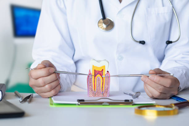 Best Emergency Orthodontic Repairs in Marshall, VA